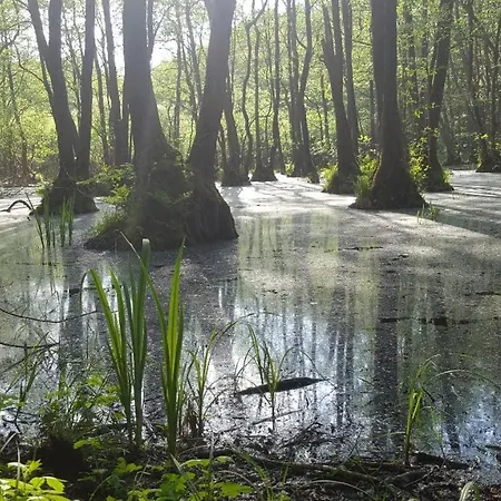 Caselow 23a * Bergholz