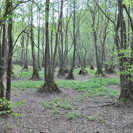 Caselow 23a * Bergholz