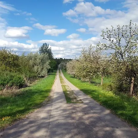 Caselow 23a Bergholz