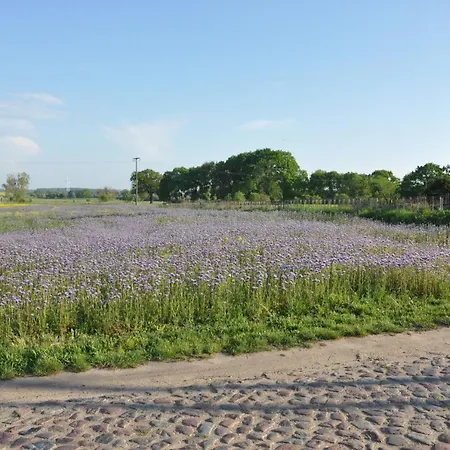 Caselow 23a * Bergholz