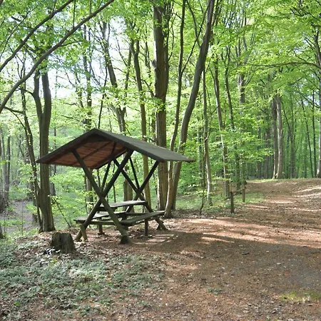 Caselow 23a * Bergholz