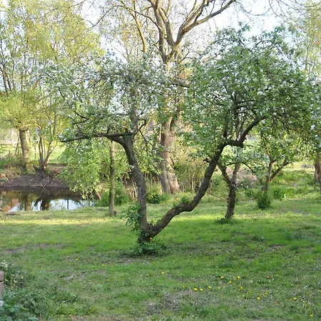 Apartament Caselow 23a Bergholz