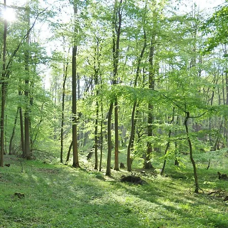 Caselow 23a * Bergholz