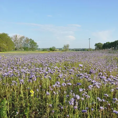 Caselow 23a 公寓 Bergholz