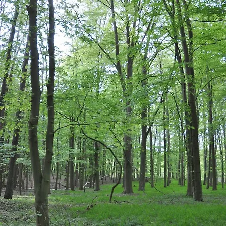 Caselow 23a 公寓 Bergholz